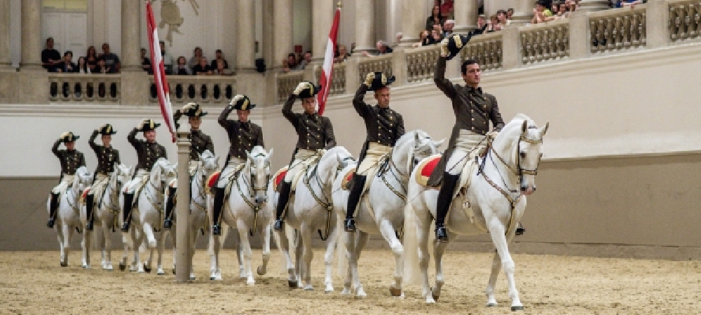 Spanish riding scool